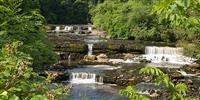 Discover why the acclaimed Aysgarth Falls are so popular