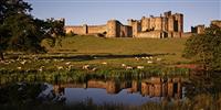 Alnwick Castle: Days out in Northumberland