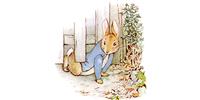 How did the Lake District influence Beatrix Potter