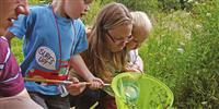 Go Wild in Dorset | How to get kids exploring the great outdoors