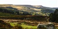 What to do in Nidderdale AONB