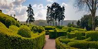 The Dordogne: a visit to the Gardens of Marqueyssac is a MUST!