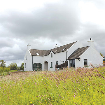 The wild grass surrounding Ballylinny