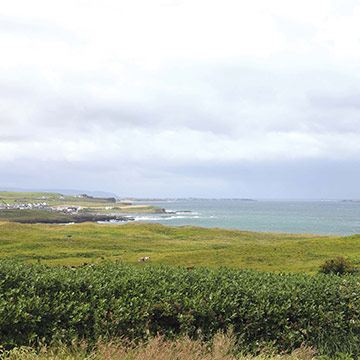 Coastal view from Ballylinny across to the Giant's Causeway