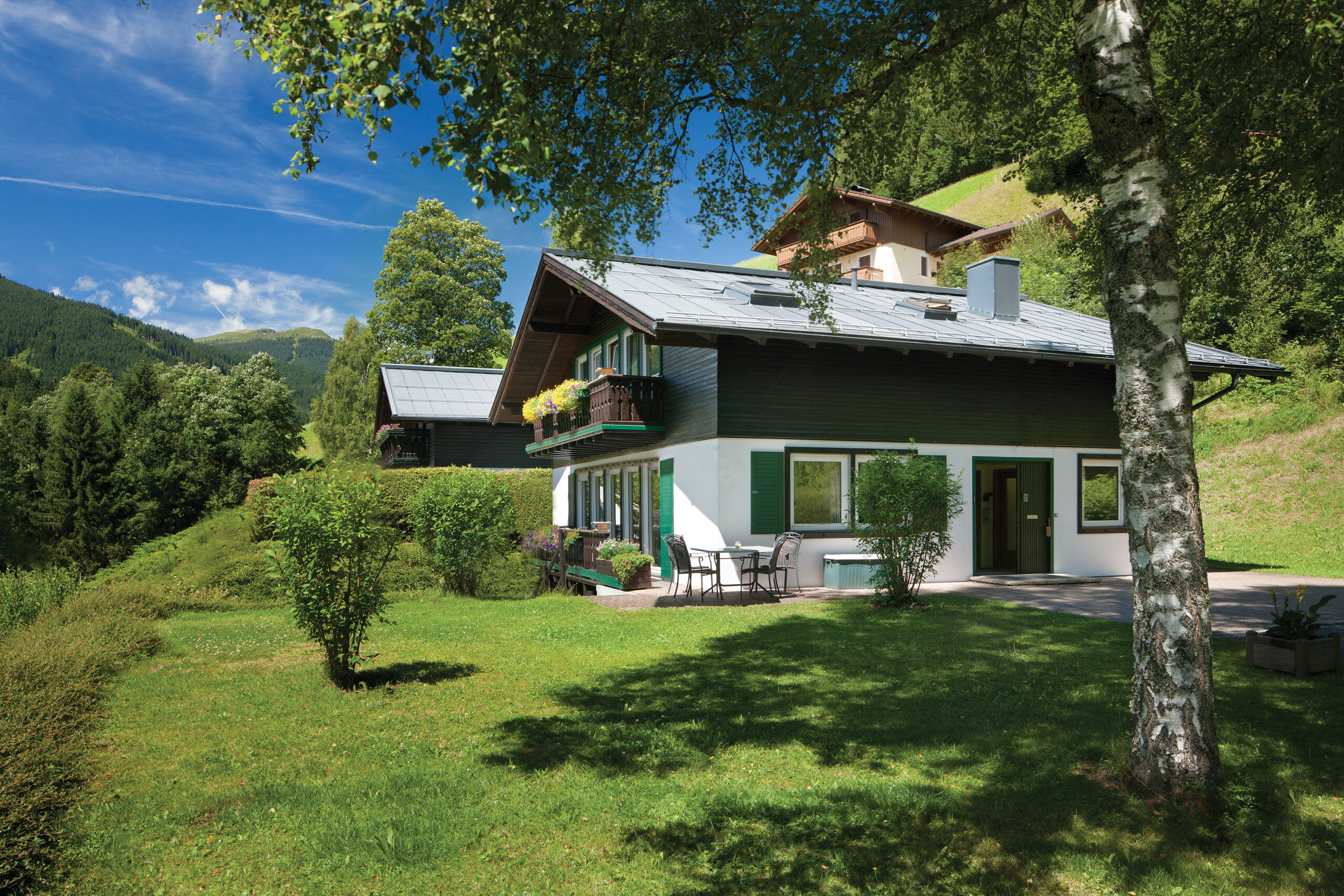 Viehhofen_property_01