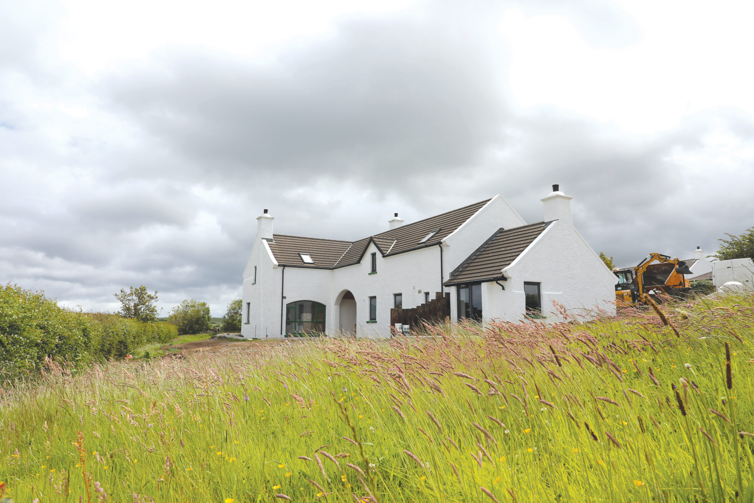 The wild grass surrounding Ballylinny