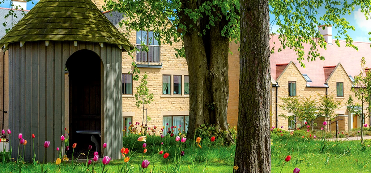 Colourful tulips at Lucker Hall in Northumberland