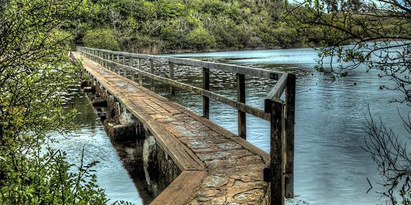 Bosherston Lakes bridge