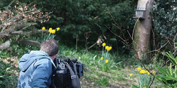 filming crew recording red squirrels at Anglesey