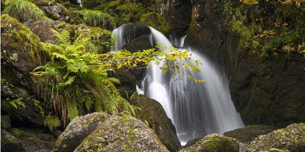 Derwentwater walk waterfall