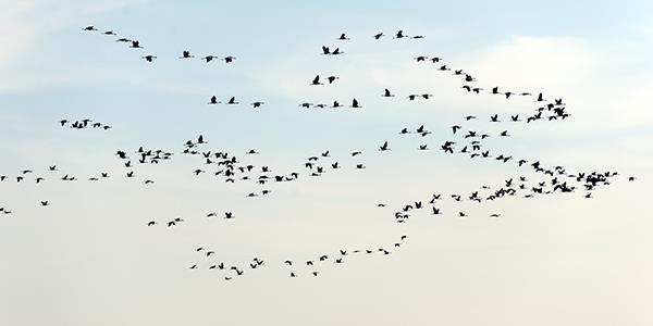 Dordogne migration